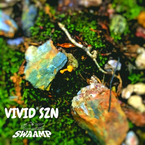 VIVID SZN | Boomplay Music