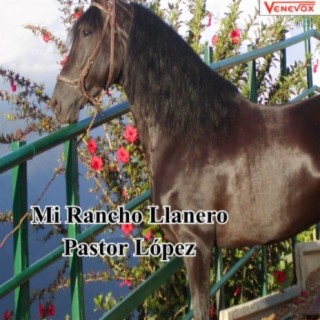 Mi Rancho Llanero