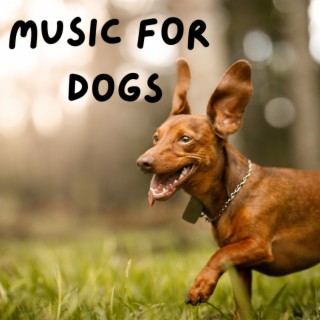 Music For Dogs