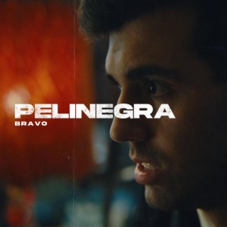 PELINEGRA lyrics | Boomplay Music