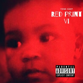 RED PRINT 6