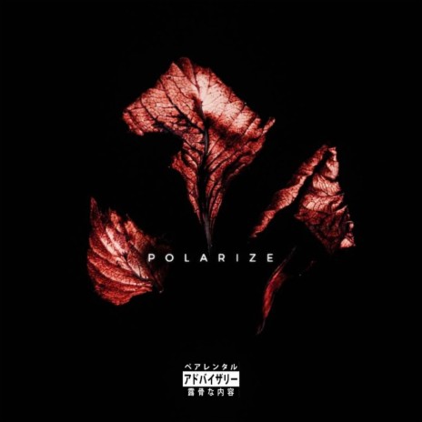 POLARIZE (slowed to perfection) | Boomplay Music