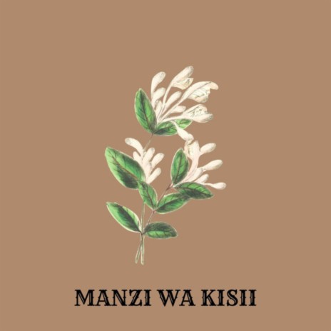 Manzi Wa Kisii ft. Sunrok