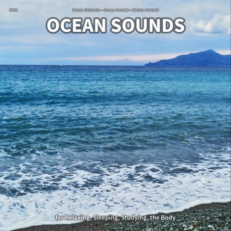 Ocean Sounds, Pt. 89 ft. Ocean Sounds & Nature Sounds