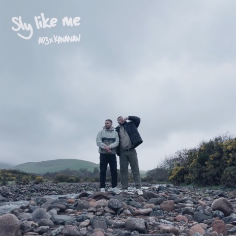 Sly Like Me ft. Kavanan | Boomplay Music