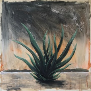 Aloe