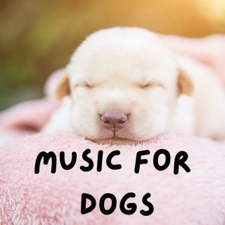 Music For Dogs