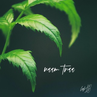 neem tree