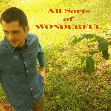 All Sorts of Wonderful | Boomplay Music