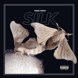 Silk