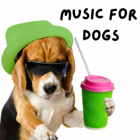 Guidance To Relax ft. Music For Dogs Peace, Relaxing Puppy Music & Calm Pets Music Academy | Boomplay Music