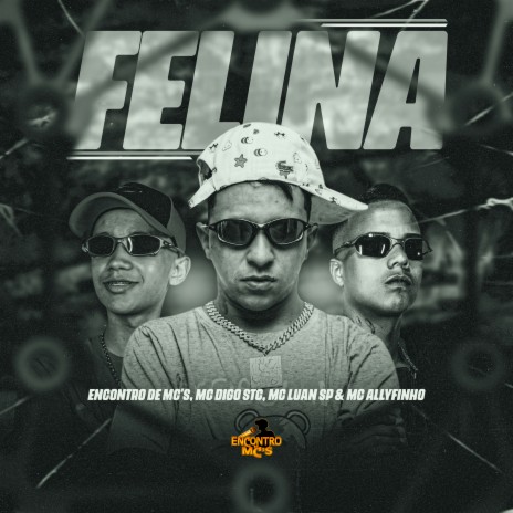 Felina ft. MC Luan SP, MC Allyfinho & Encontro de MC's | Boomplay Music