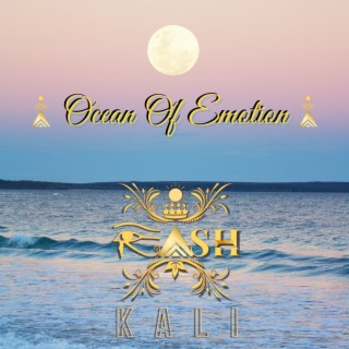 Ocean of Emotion