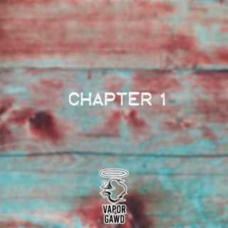 CHAPTER 1