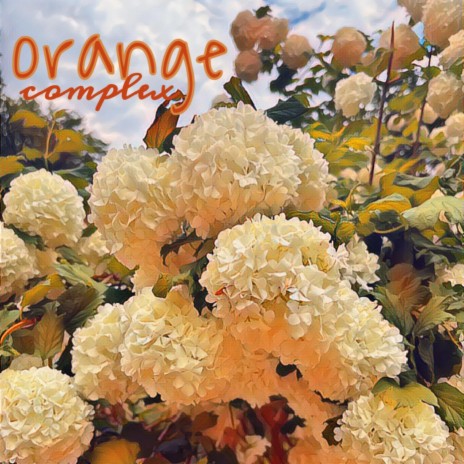 orange complex | Boomplay Music