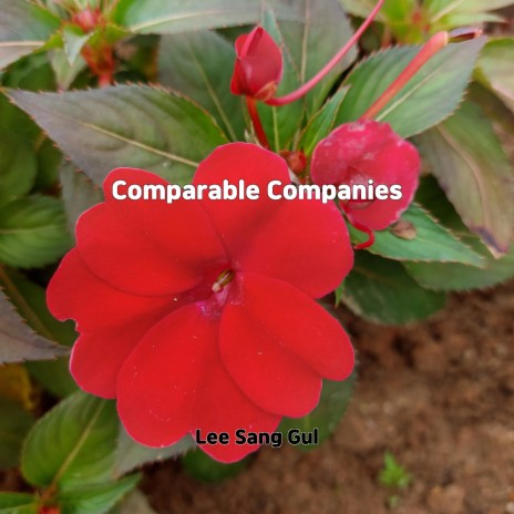 Comparable Companies | Boomplay Music