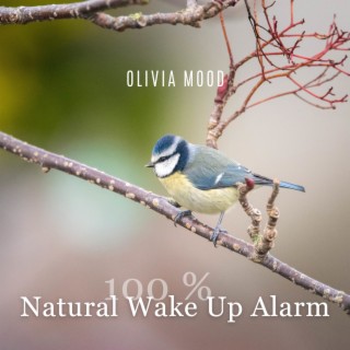100 % Natural Wake Up Alarm