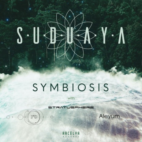 Kelp Forest (Original Mix) ft. Suduaya | Boomplay Music