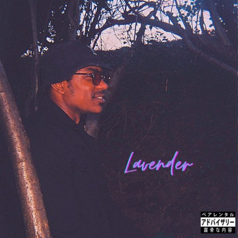 Lavender | Boomplay Music