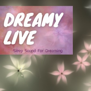 Sleep Sound For Dreaming