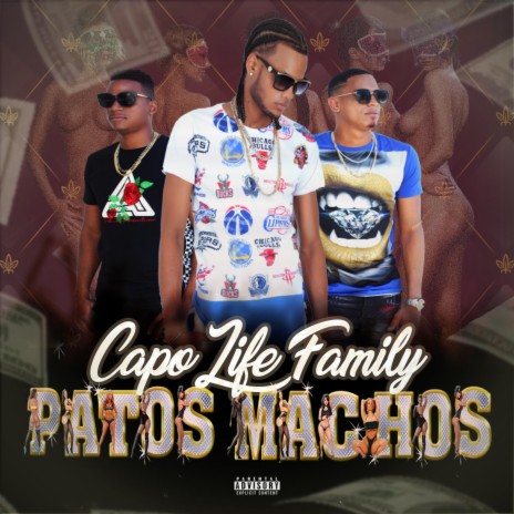 patos machos | Boomplay Music