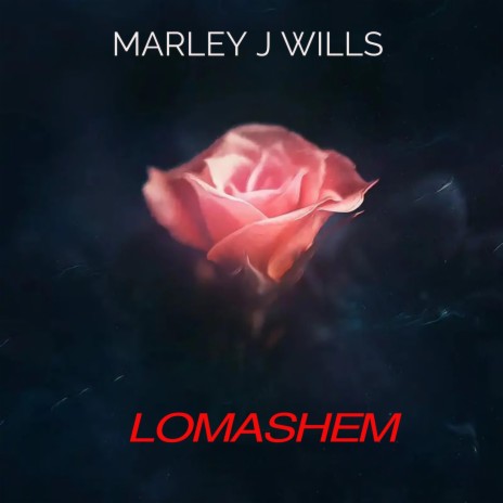 LOMASHEM | Boomplay Music