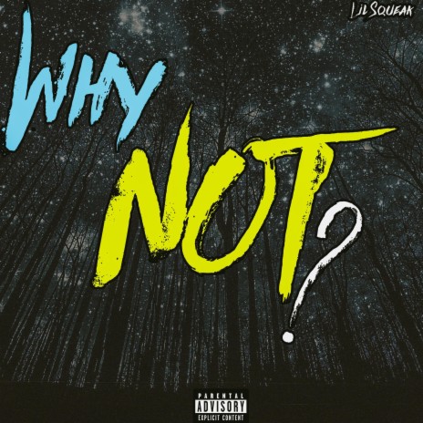 WHY NOT ? | Boomplay Music