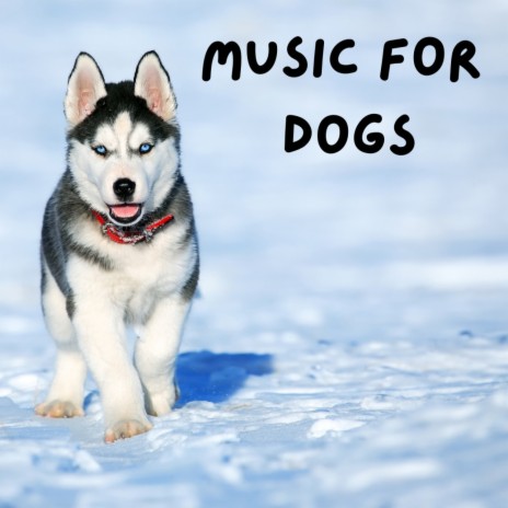 Canine Melodies ft. Music For Dogs, Relaxing Puppy Music & Calm Pets Music Academy