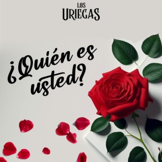 Quien Es Usted