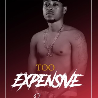 Too Expensive