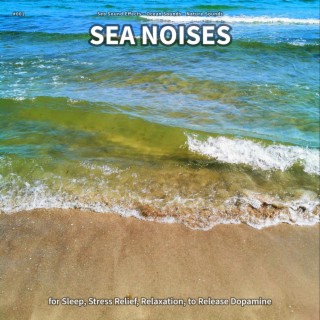 #001 Sea Noises for Sleep, Stress Relief, Relaxation, to Release Dopamine