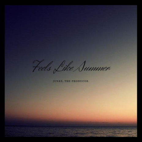 Feels Like Summer | Boomplay Music