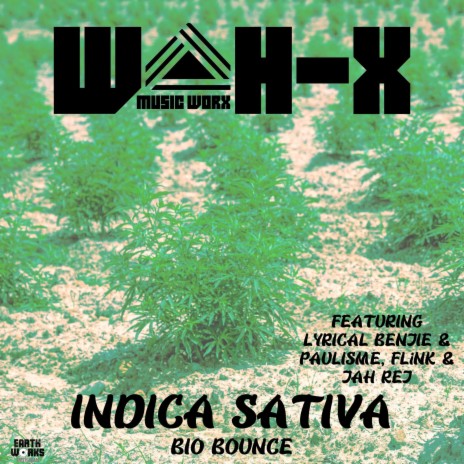 Indica Sativa ft. Paulisme & Wah-X | Boomplay Music