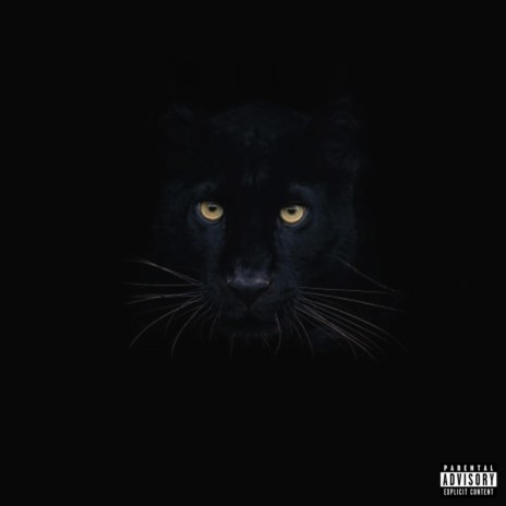 Black Panther ft. True2Kali & Masta Killa