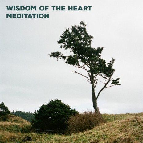 Wisdom of the Heart Meditation | Boomplay Music