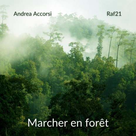 Marcher en Forêt (Musique seule) ft. Andrea Accorsi