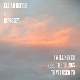 I Will Never Feel The Things That I Used To ft. riprosey lyrics | Boomplay Music