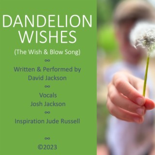 Dandelion Wishes ft. Josh Jackson lyrics | Boomplay Music