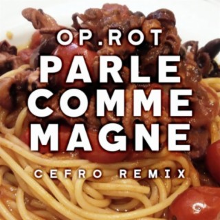 Parle Comme Magne (feat. Cefro)