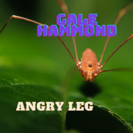 Angry Leg