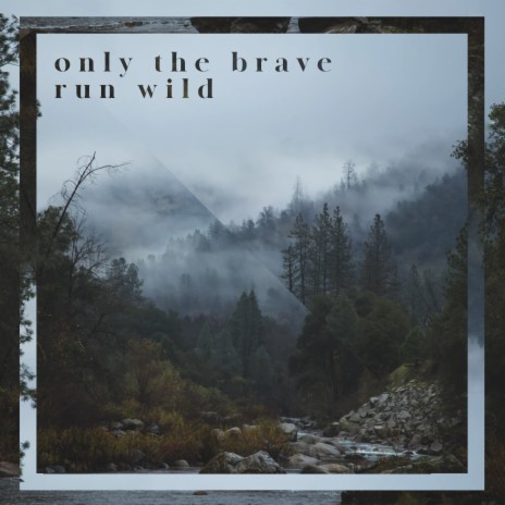 Only the Brave Run Wild | Boomplay Music