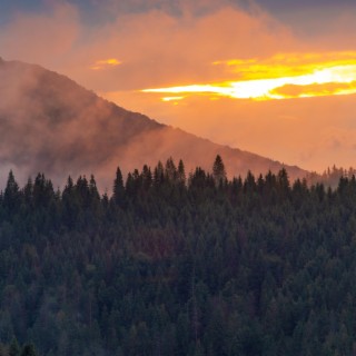 Carpathian Mountains of Ukraine