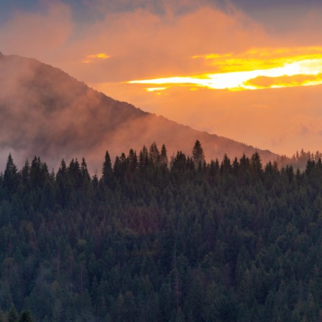 Carpathian Mountains of Ukraine