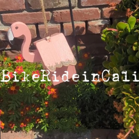 BikeRideinCali | Boomplay Music