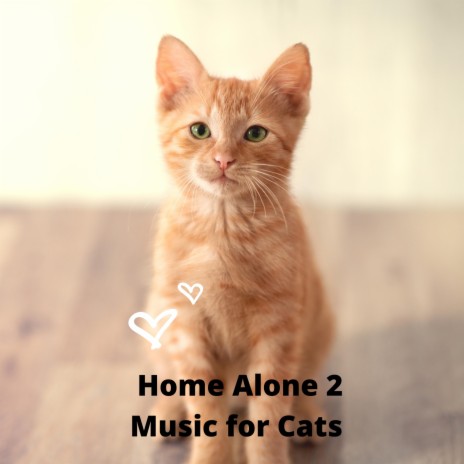 Relaxing cat ft. Cat music experience & Pet therapy Piano Music | Boomplay Music