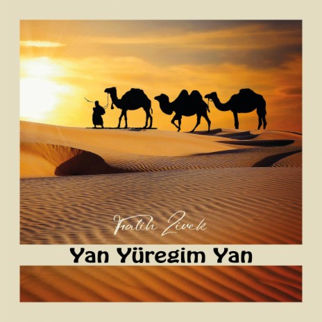 Yan Yüregim Yan | Boomplay Music