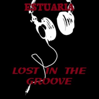 Lost In The Groove | Boomplay Music