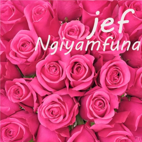 Ngiyamfuna | Boomplay Music