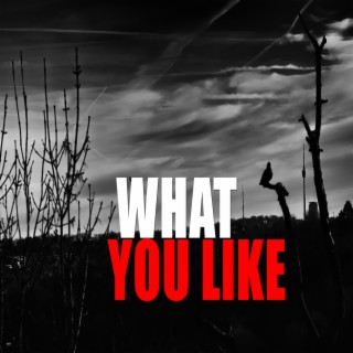 What You Like