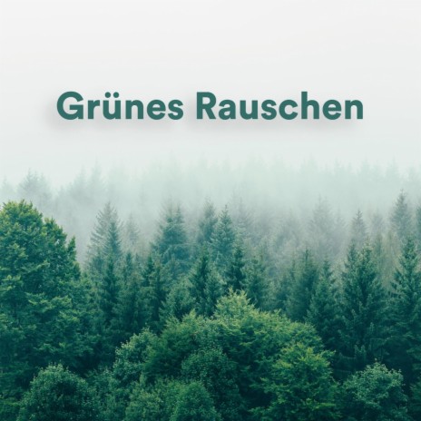 Sauberes Grünes Rauschen ft. Grünes Rauschen & Weißes Rauschen